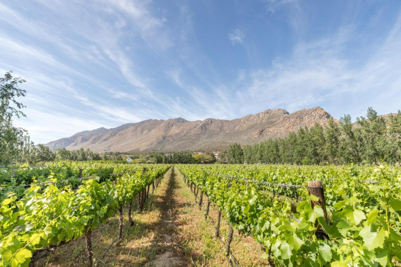 Klein Nektar Wine & Olive Estate Hotel Montagu Exterior foto